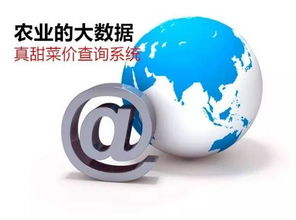 农业突围 告别信息化“原始社会”，真甜菜价查询系统如何改变三农未来？